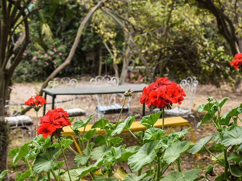 Casa Campo Lindo Ольмуэ Экстерьер фото